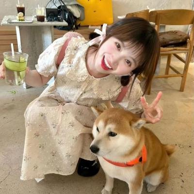 从你的全世界路过